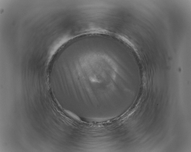 X0000070341310200606301731