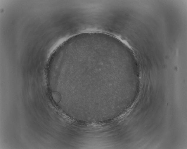 X0000070341311200606301731