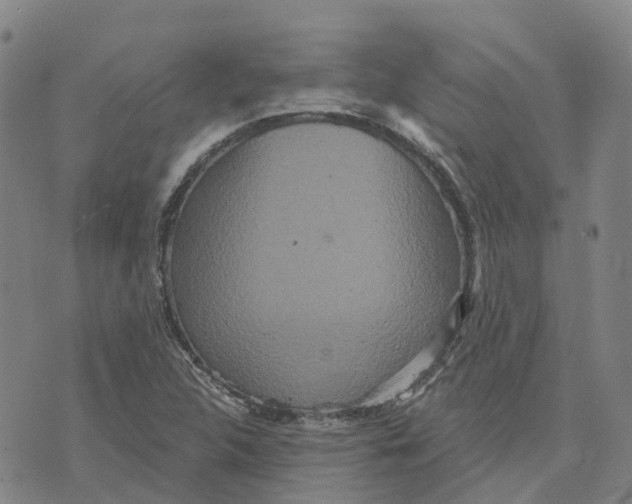 X0000070341312200606301731