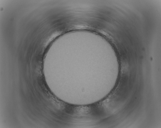 X0000070341314200606301731