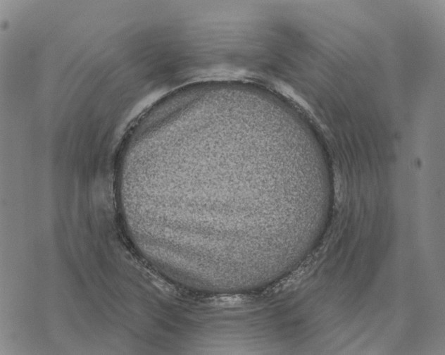 X0000070341315200606301731