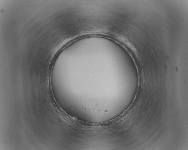 X0000070341316200606301731