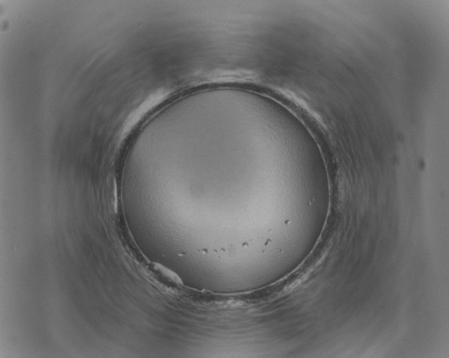 X0000070341317200606301731