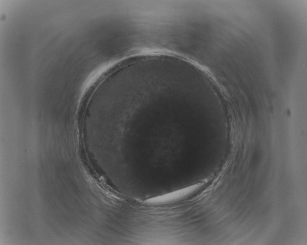 X0000070341319200606301731