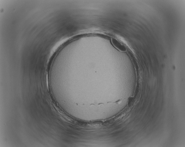 X0000070341320200606301731