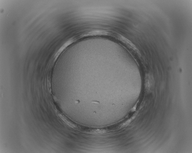 X0000070341321200606301731