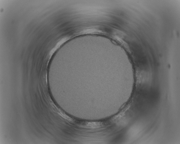 X0000070341322200606301731