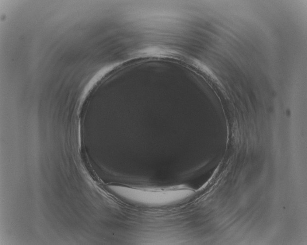 X0000070341323200606301731