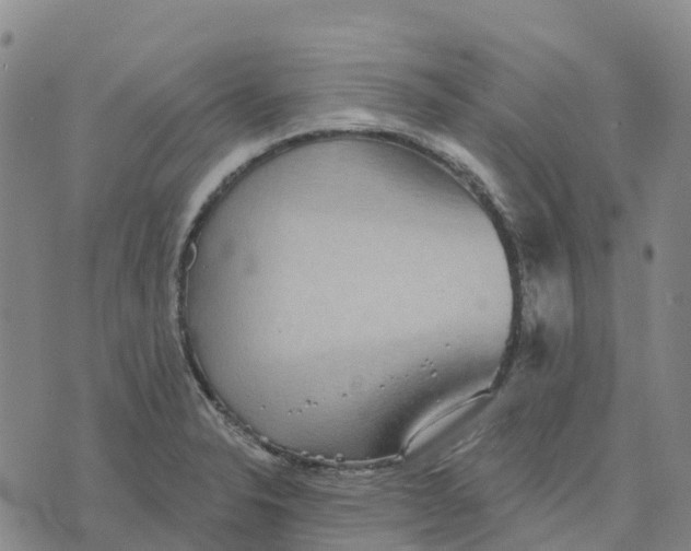 X0000070341326200606301731