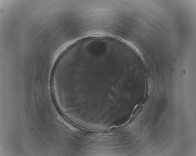 X0000070341327200606301731