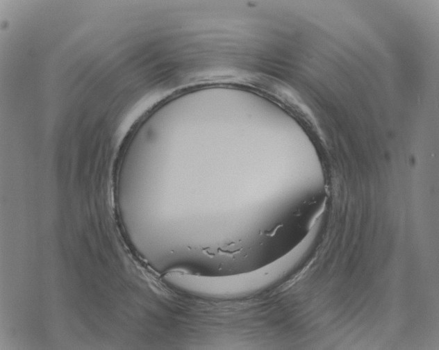 X0000070341328200606301731