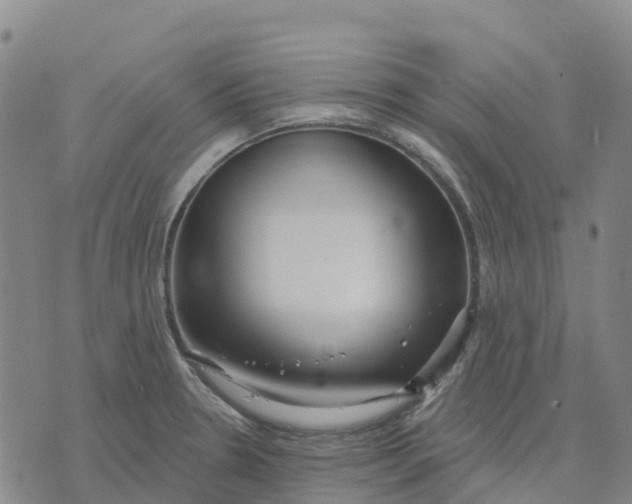 X0000070341330200606301731