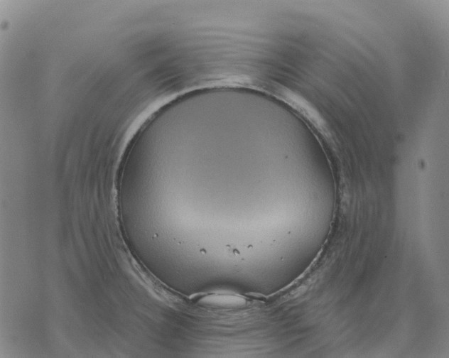 X0000070341332200606301731