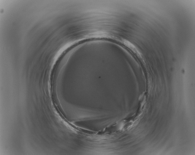 X0000070341334200606301731