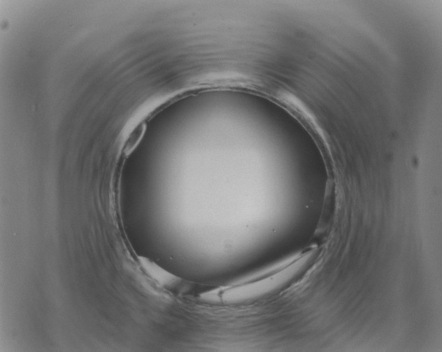 X0000070341336200606301731