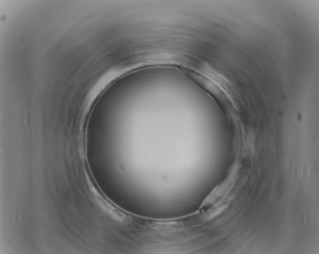 X0000070341342200606301731