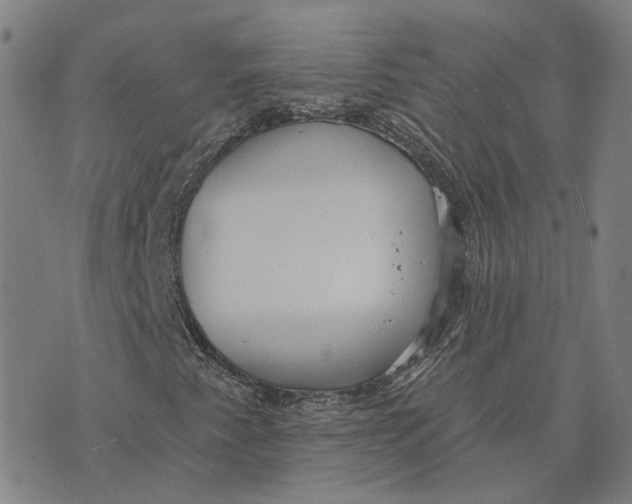 X0000070341345200606301730