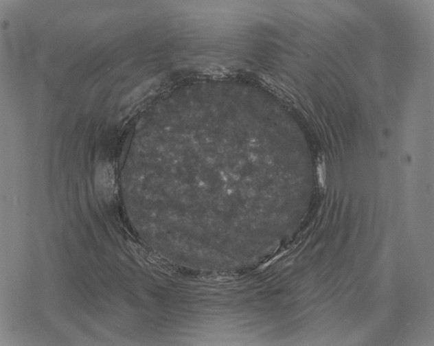 X0000070341347200606301730