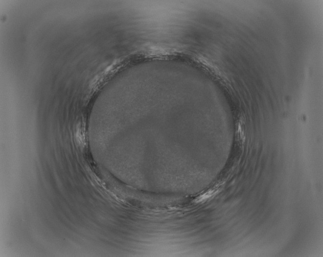 X0000070341348200606301730