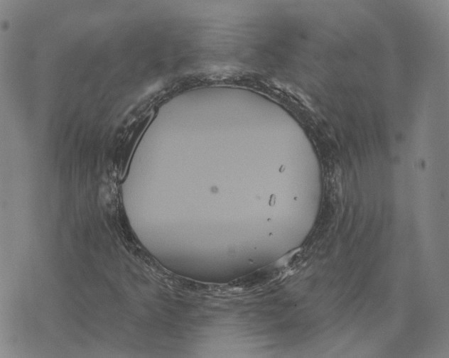 X0000070341349200606301730