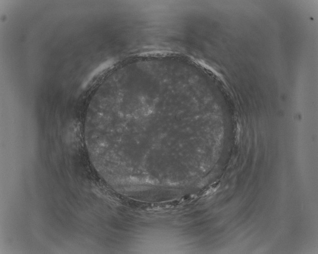 X0000070341351200606301730