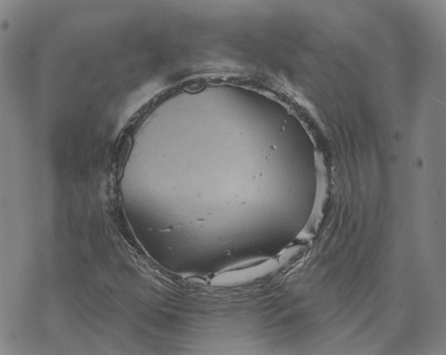 X0000070341352200606301730