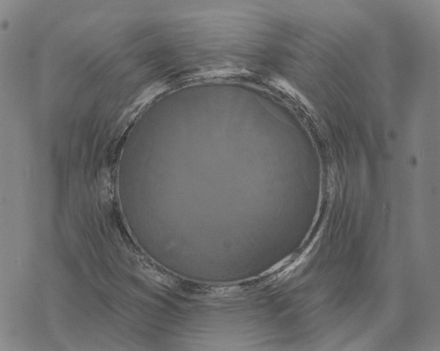 X0000070341353200606301730