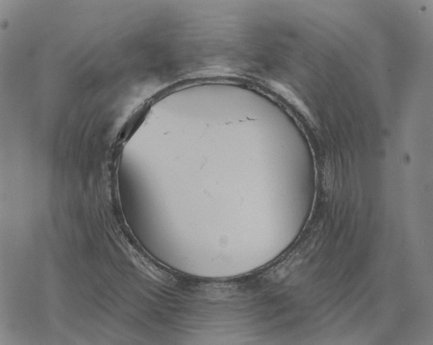 X0000070341356200606301730