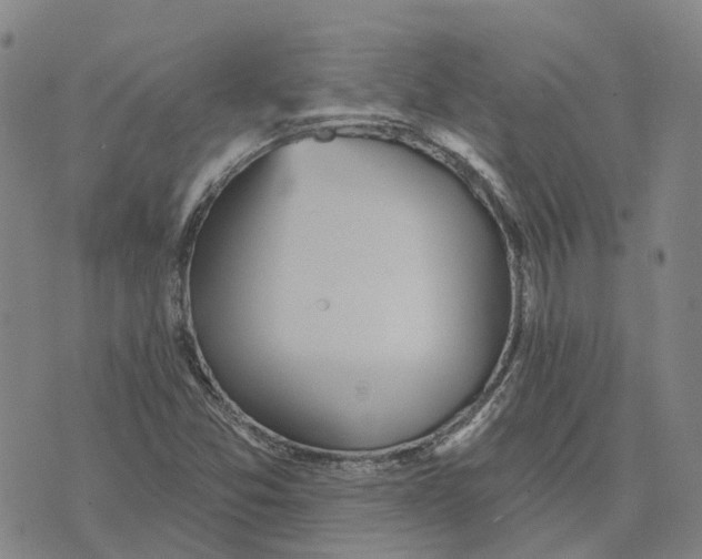 X0000070341357200606301730