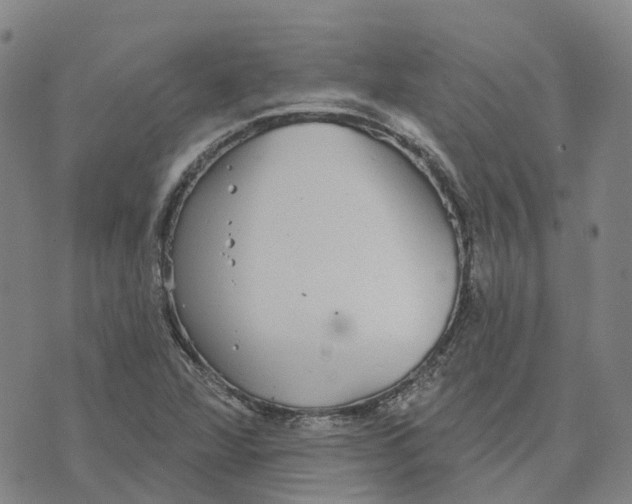 X0000070341360200606301730