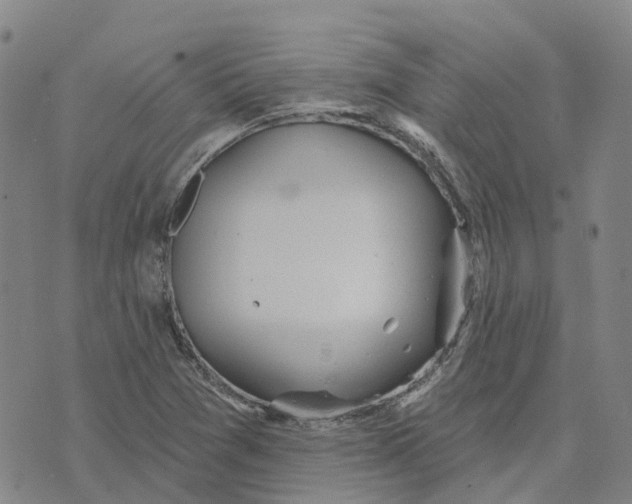 X0000070341361200606301730