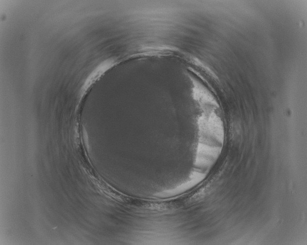 X0000070341362200606301730