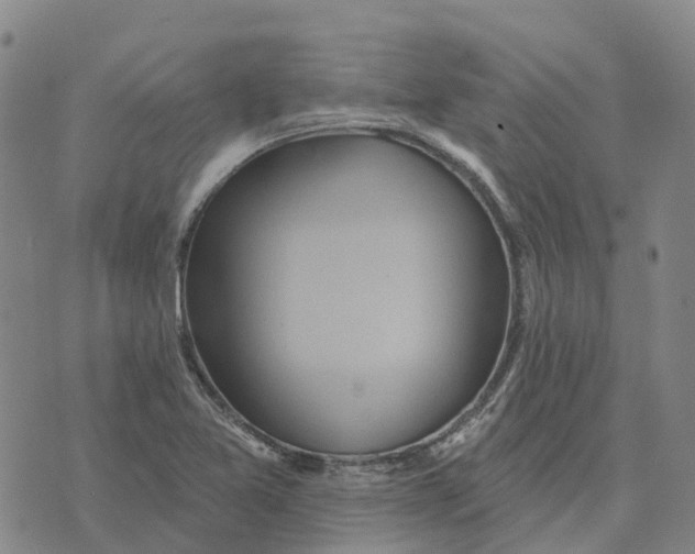 X0000070341365200606301730