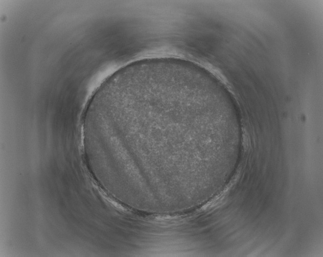 X0000070341366200606301730