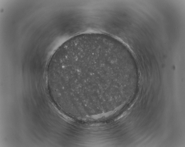 X0000070341367200606301730