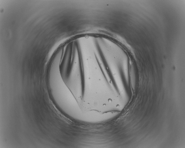 X0000070341368200606301730