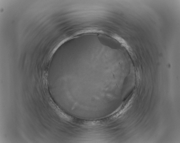 X0000070341369200606301730