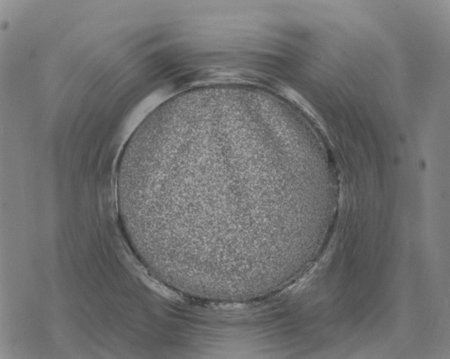 X0000070341370200606301730