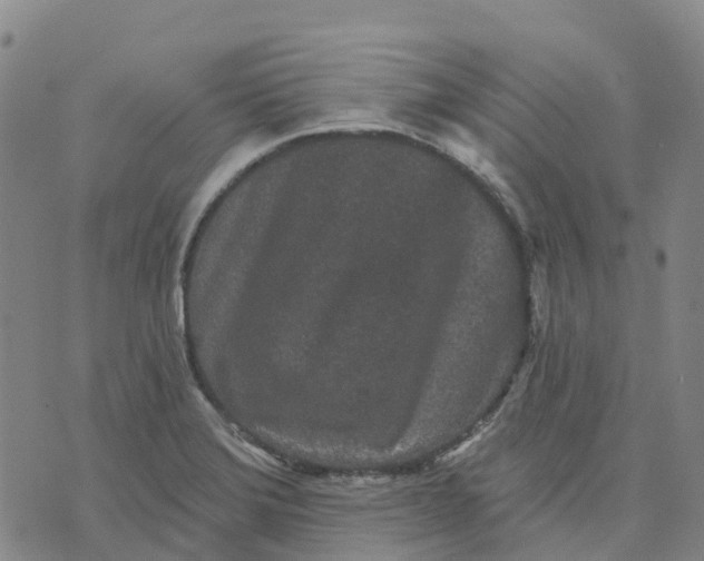 X0000070341372200606301730