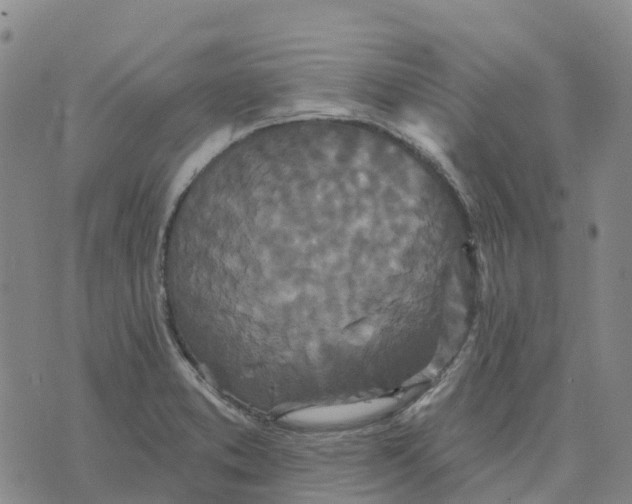 X0000070341373200606301730