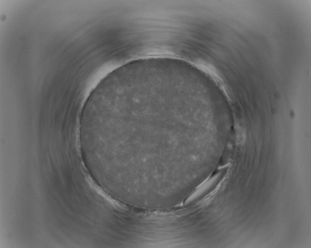 X0000070341374200606301730