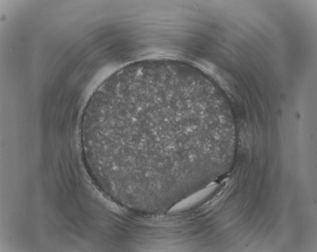 X0000070341375200606301730