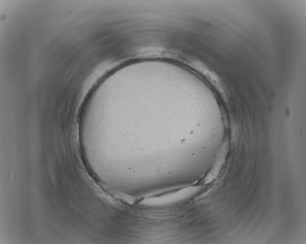 X0000070341376200606301730