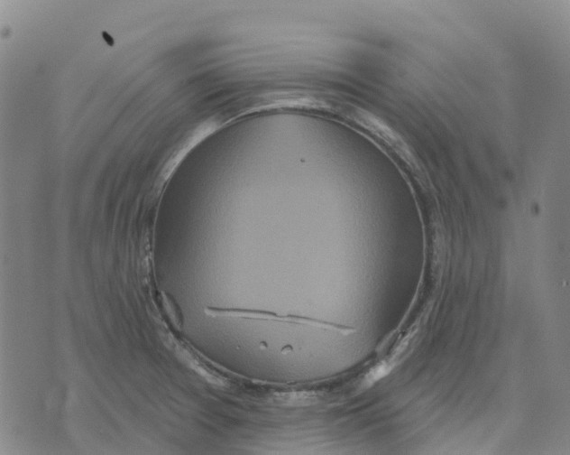 X0000070341377200606301730