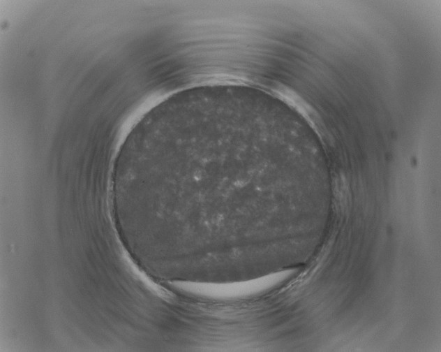 X0000070341379200606301730