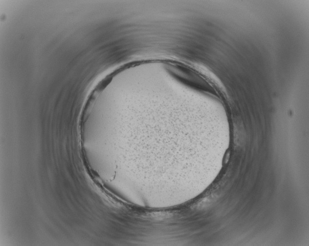 X0000070341380200606301730