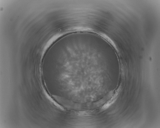 X0000070341381200606301730