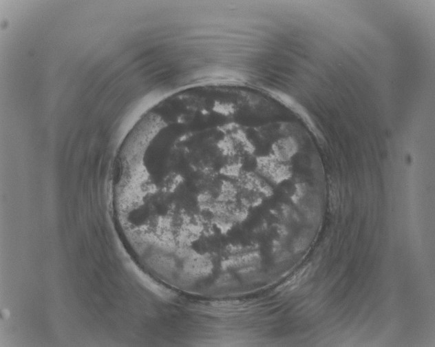 X0000070341383200606301730