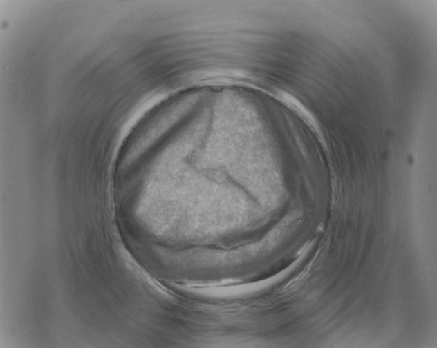 X0000070341384200606301730