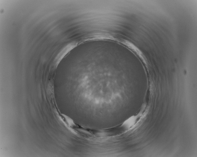 X0000070341385200606301730